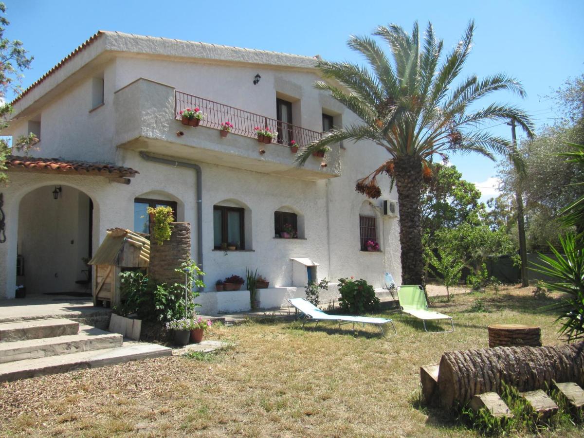 B&B I Limoni Sorso Bagian luar foto